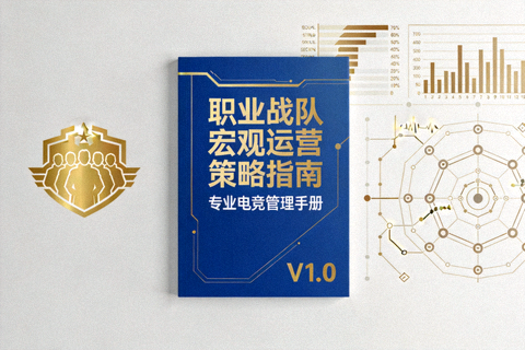 职业战队宏观运营策略指南封面图